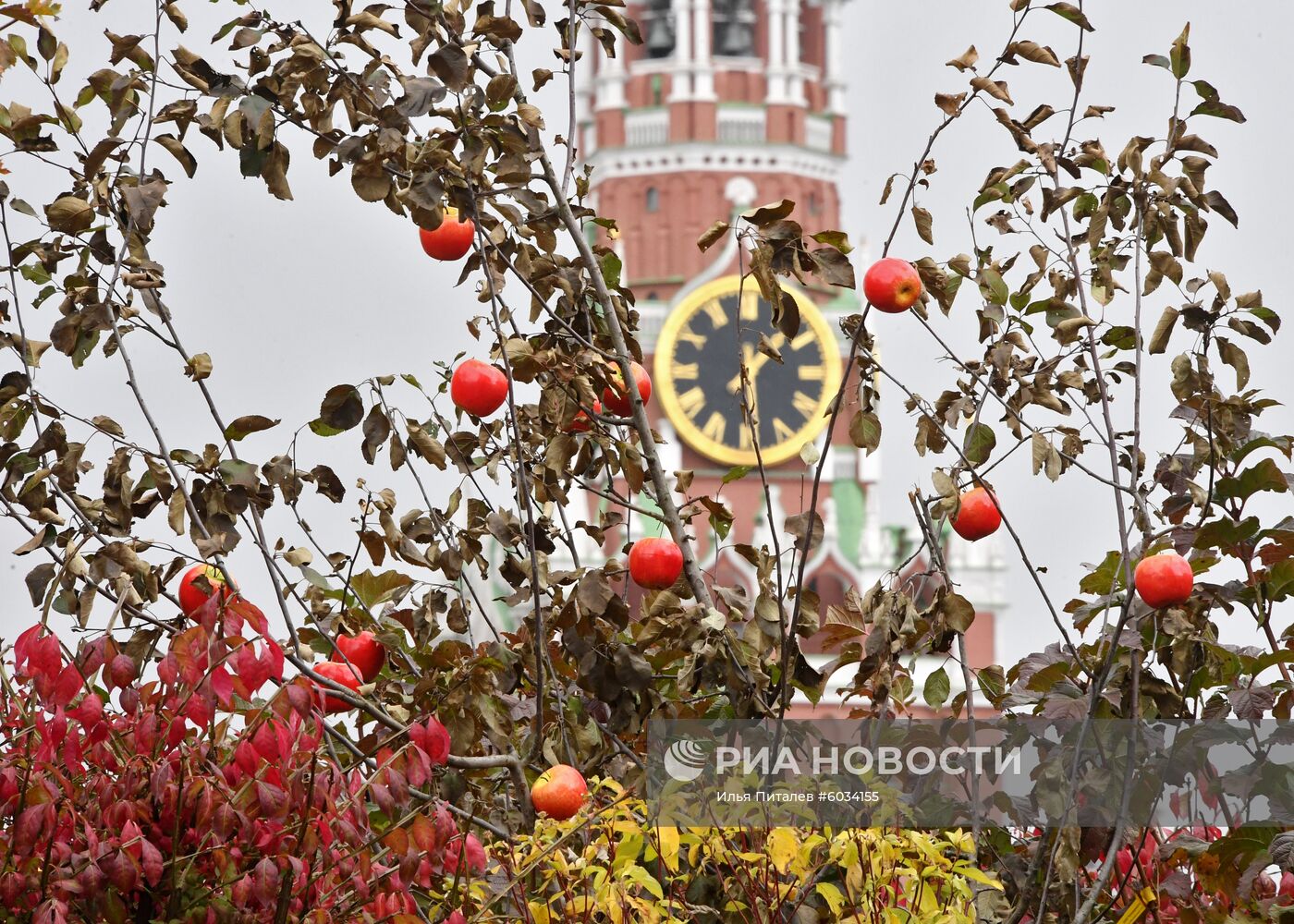 Открытие Национального гастрономического фестиваля "Золотая осень"