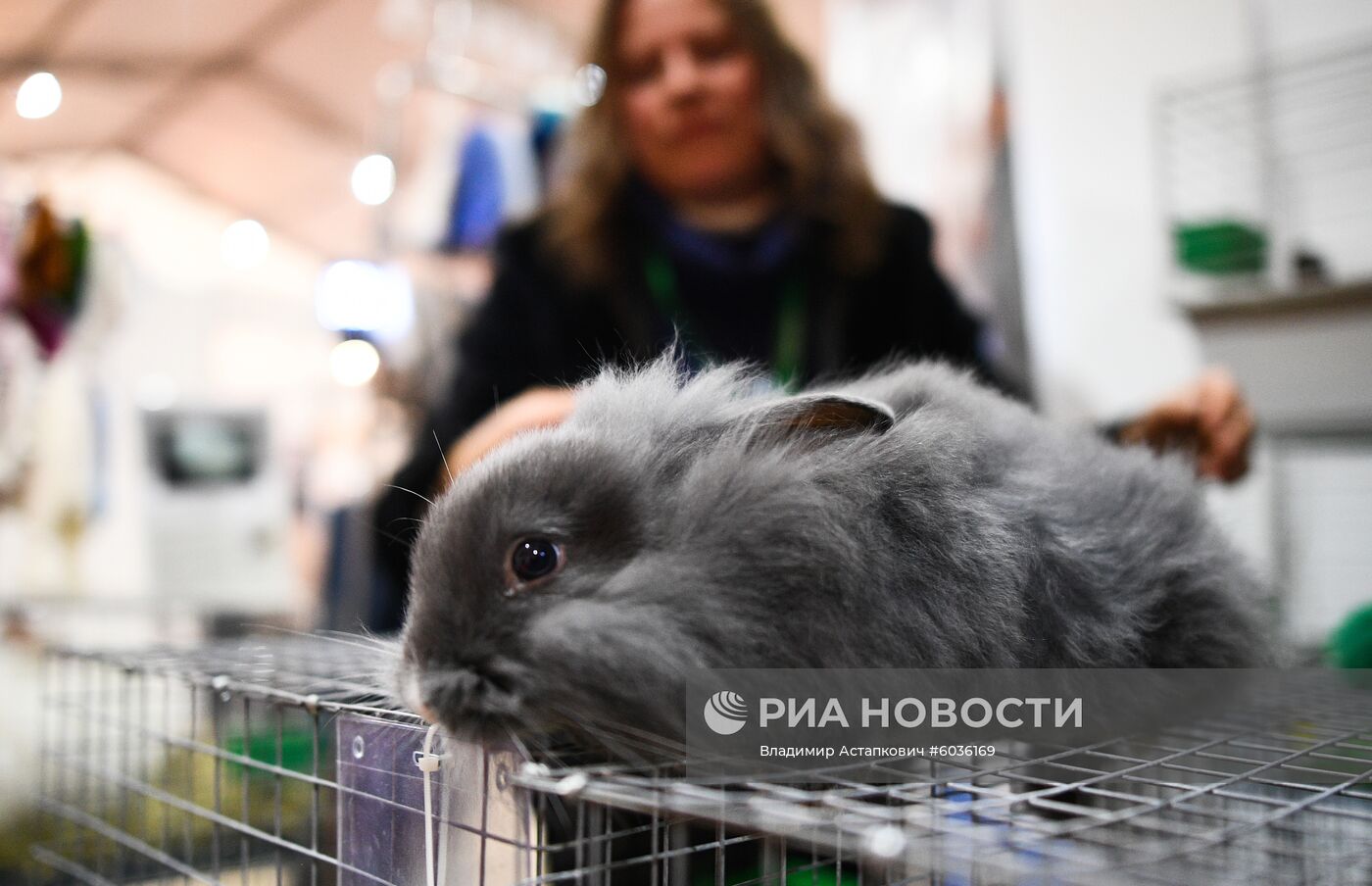 21-я Российская агропромышленная выставка "Золотая осень"