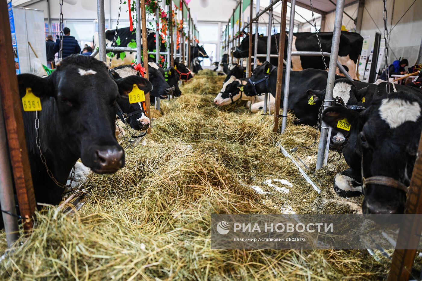 21-я Российская агропромышленная выставка "Золотая осень"