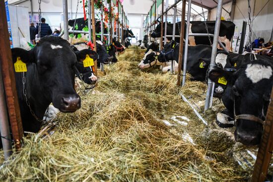 21-я Российская агропромышленная выставка "Золотая осень"