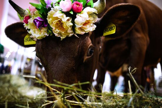 21-я Российская агропромышленная выставка "Золотая осень"