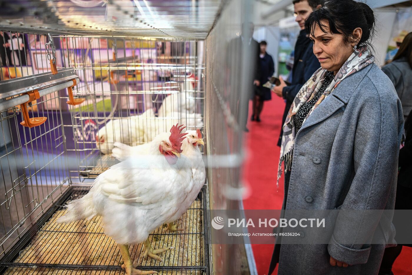 21-я Российская агропромышленная выставка "Золотая осень"