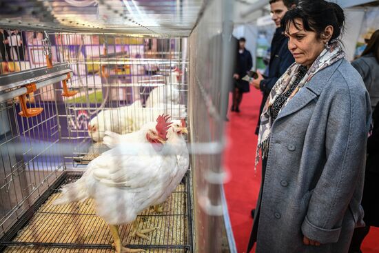 21-я Российская агропромышленная выставка "Золотая осень"