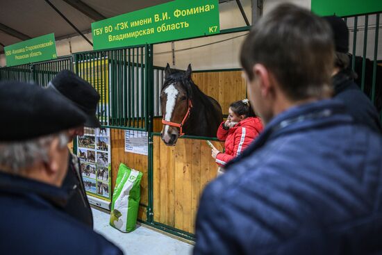 21-я Российская агропромышленная выставка "Золотая осень"