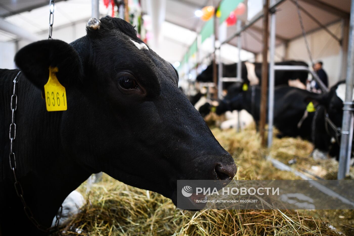 21-я Российская агропромышленная выставка "Золотая осень"