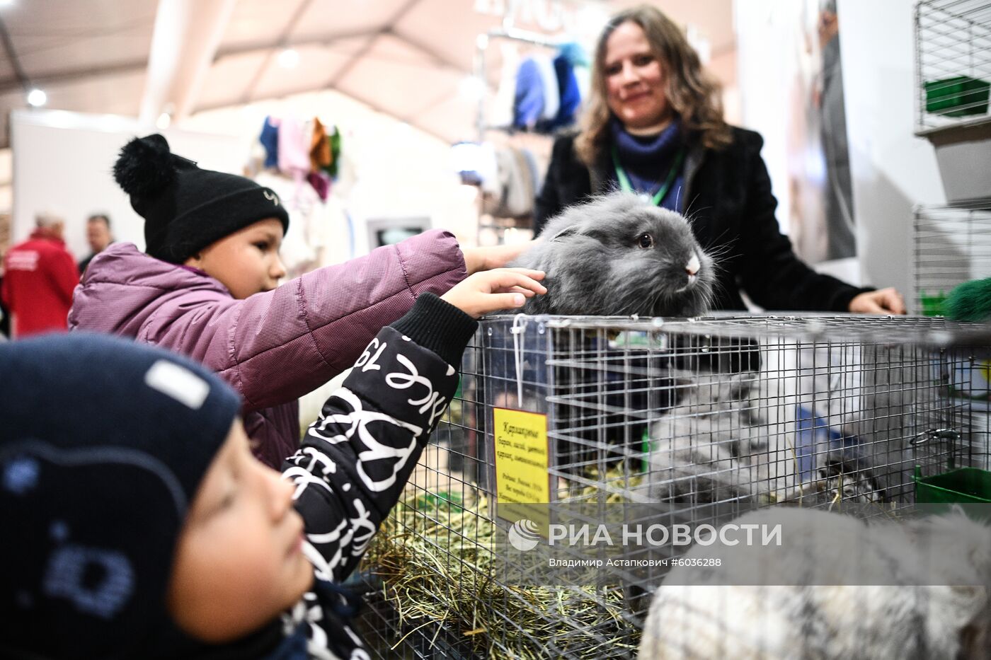 21-я Российская агропромышленная выставка "Золотая осень"