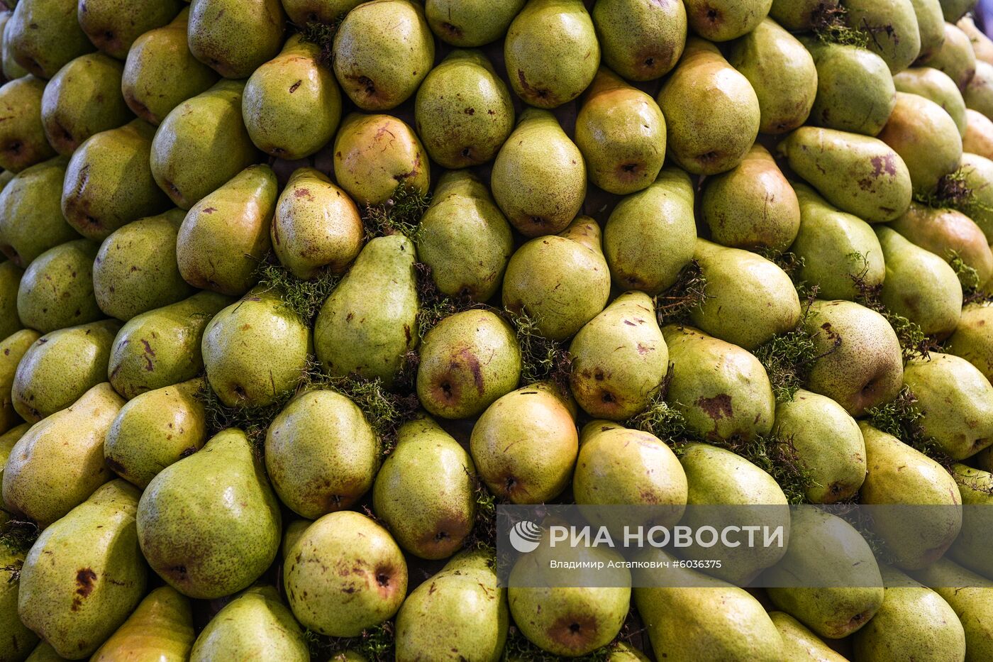 21-я Российская агропромышленная выставка "Золотая осень"