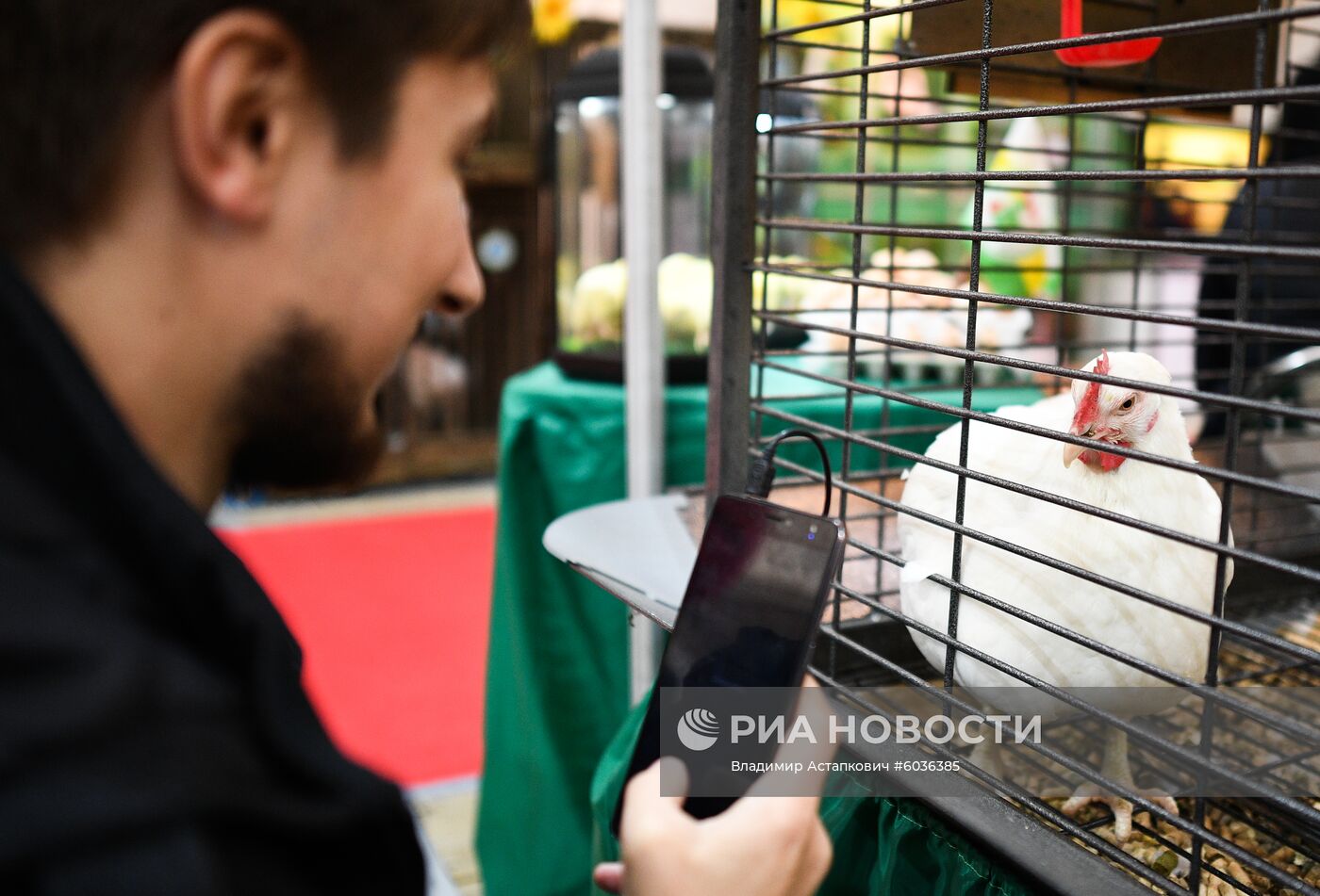 21-я Российская агропромышленная выставка "Золотая осень"