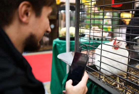 21-я Российская агропромышленная выставка "Золотая осень"