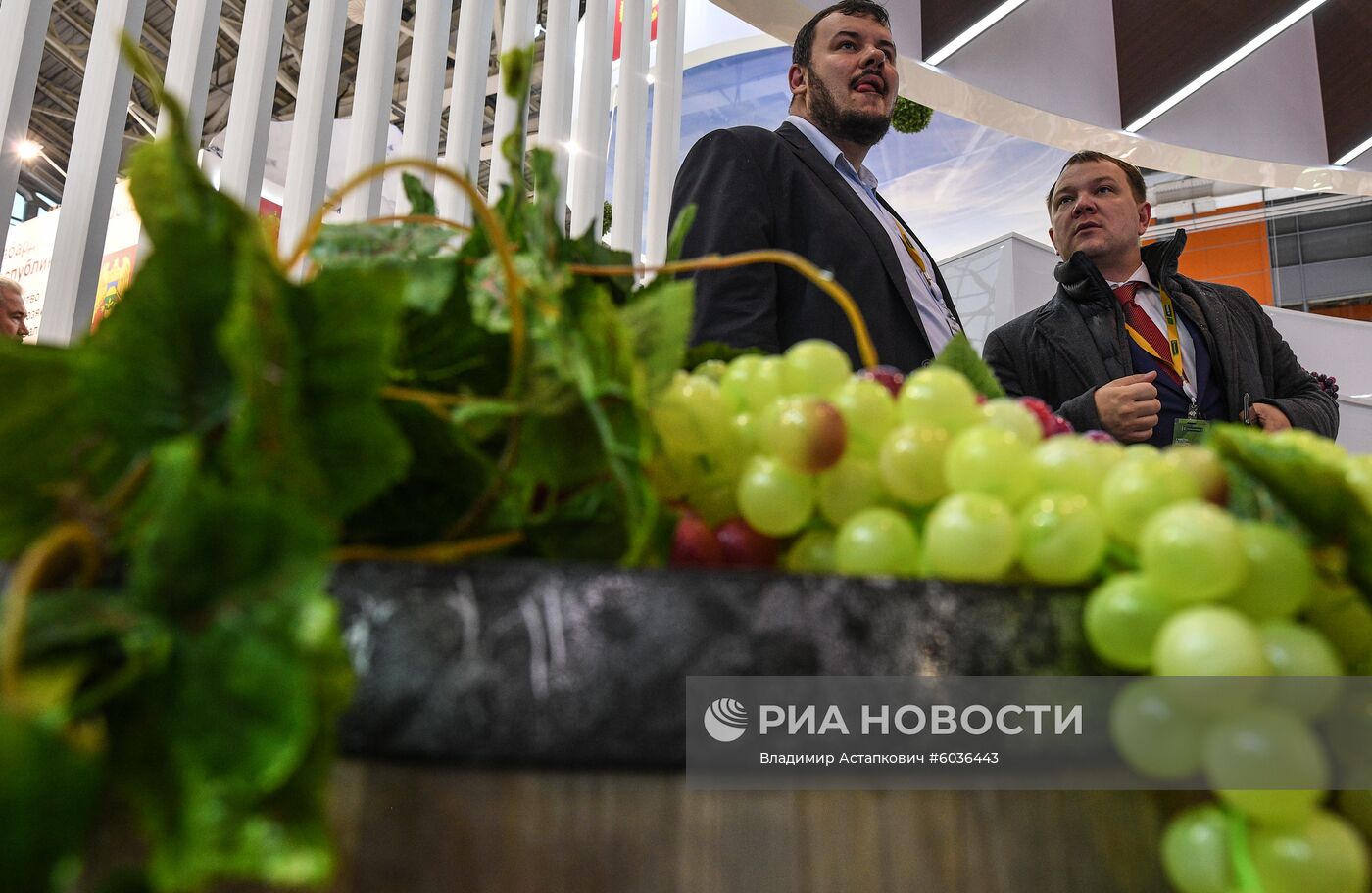 21-я Российская агропромышленная выставка "Золотая осень"