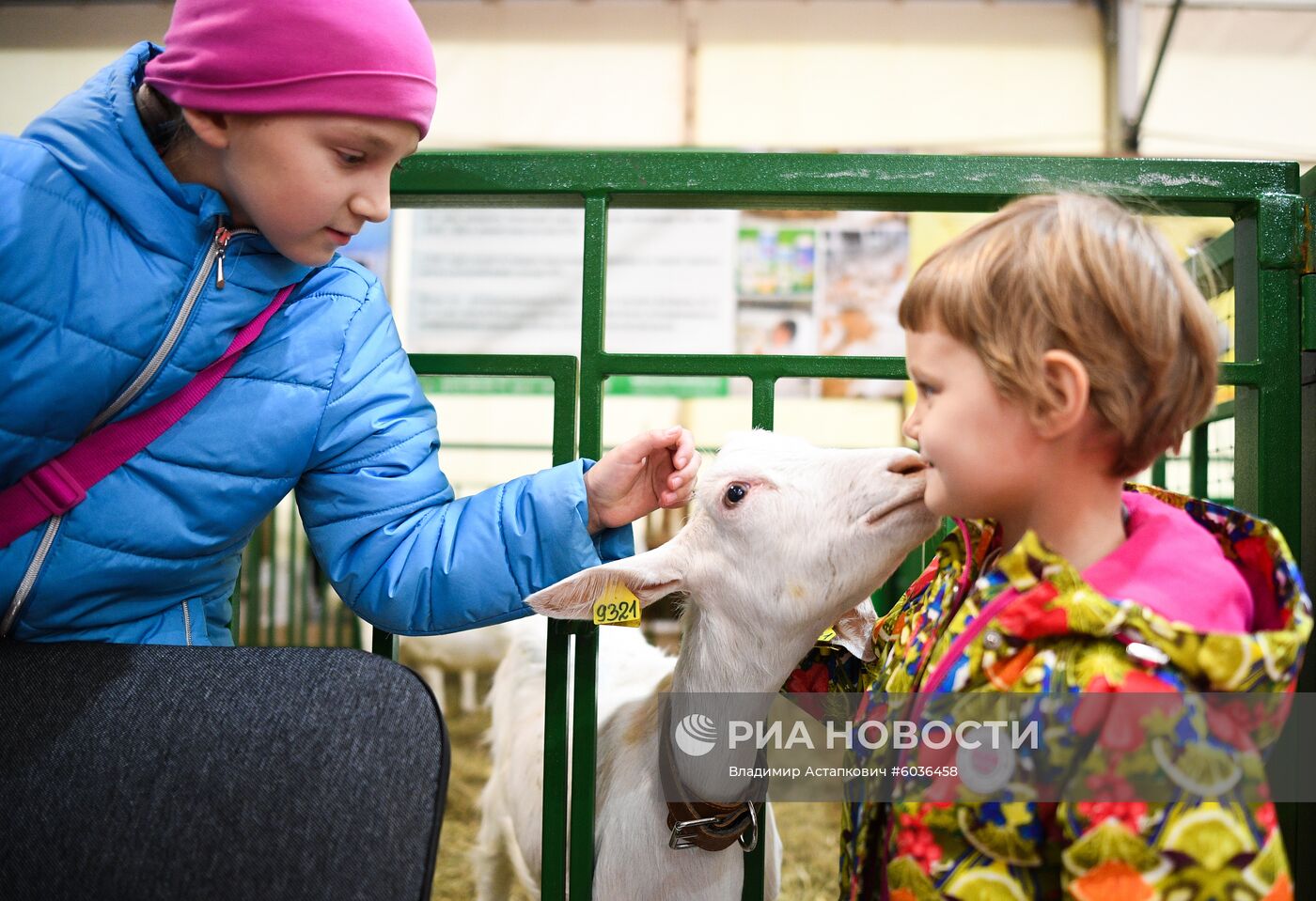 21-я Российская агропромышленная выставка "Золотая осень"