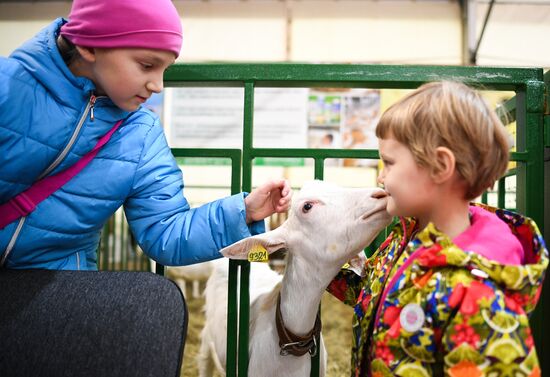 21-я Российская агропромышленная выставка "Золотая осень"