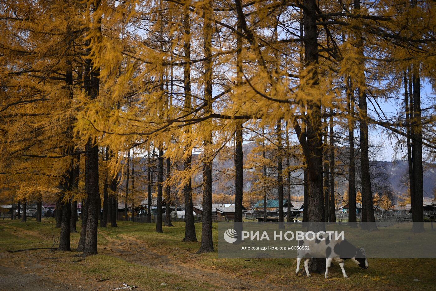 Село Алыгджер в  Иркутской области