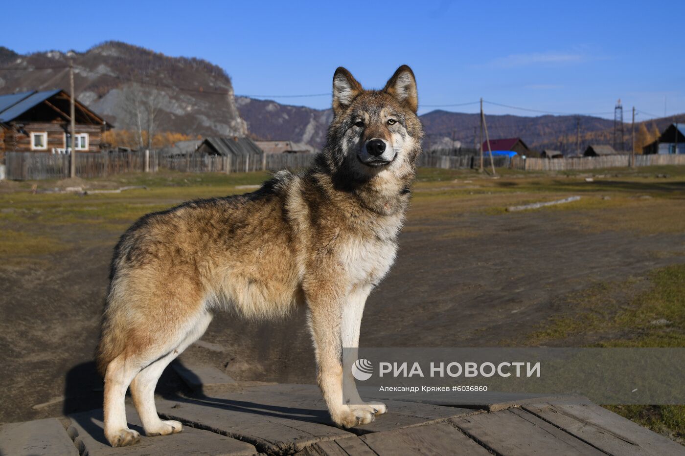 Село Алыгджер в  Иркутской области