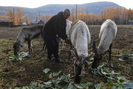 Село Алыгджер в  Иркутской области