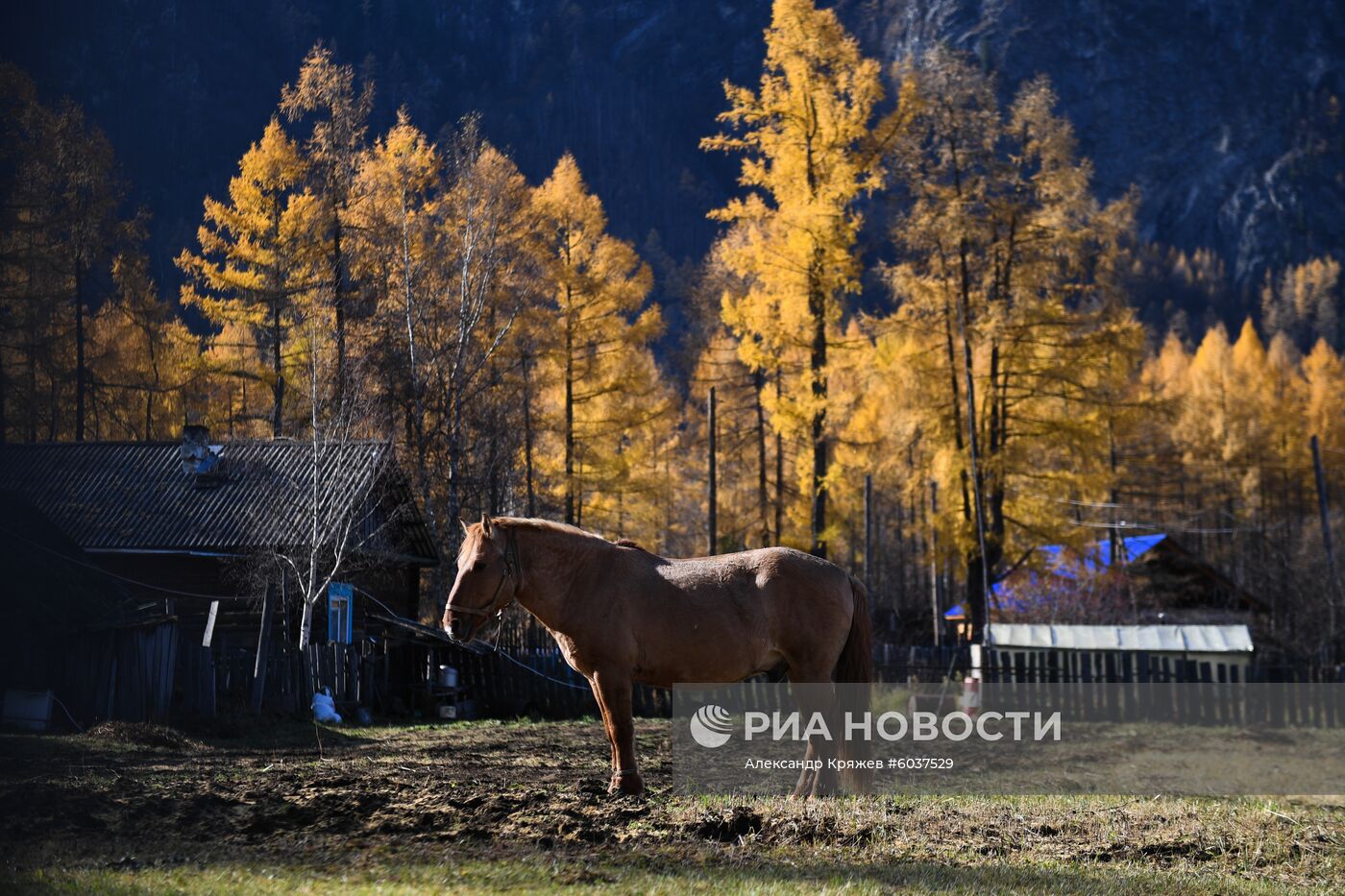 Село Алыгджер в  Иркутской области