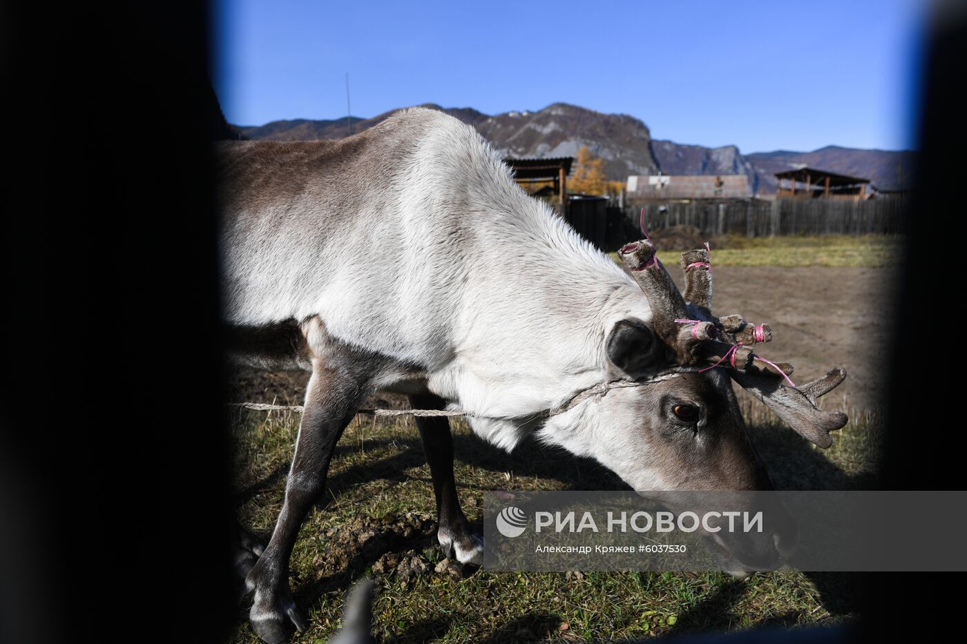 Село Алыгджер в  Иркутской области