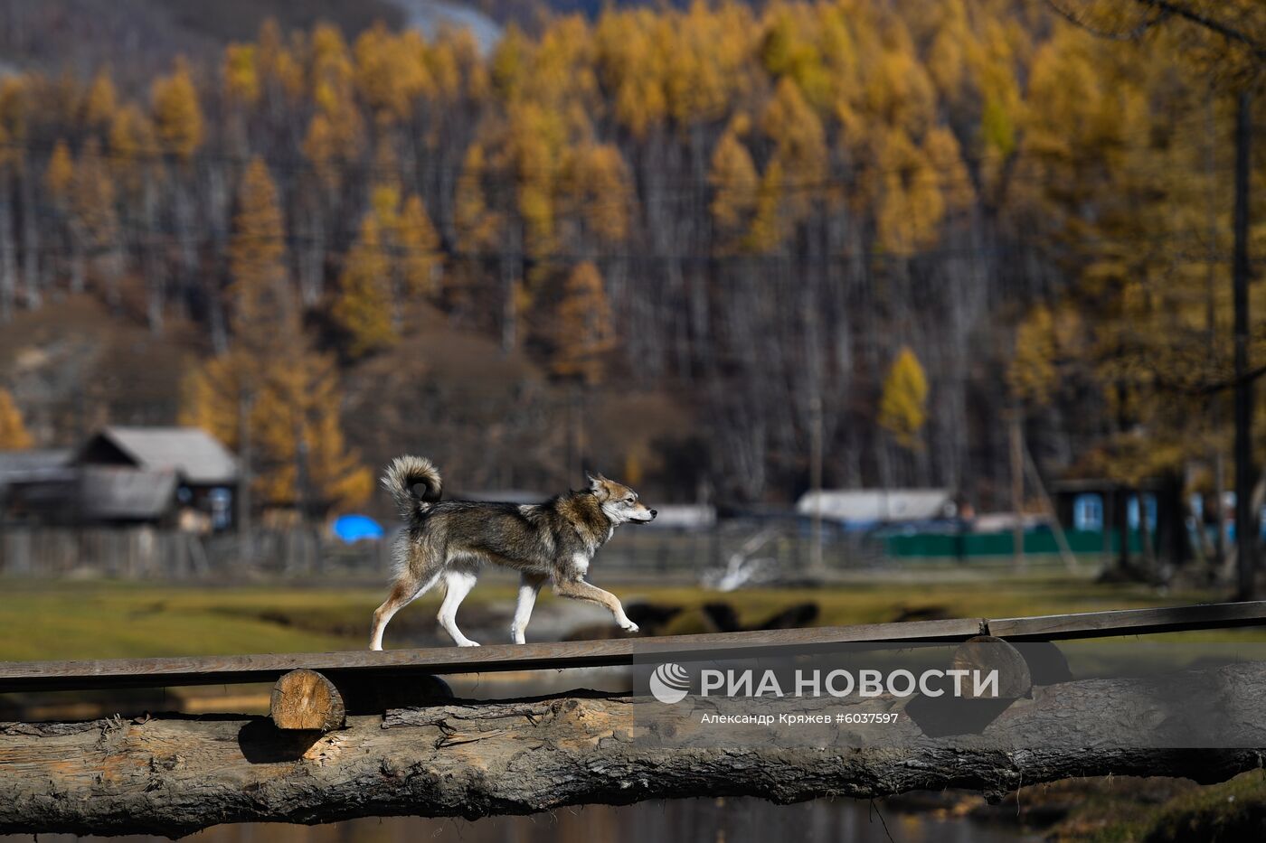 Село Алыгджер в Иркутской области