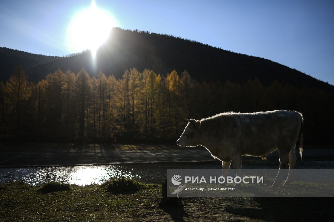 Село Алыгджер в  Иркутской области