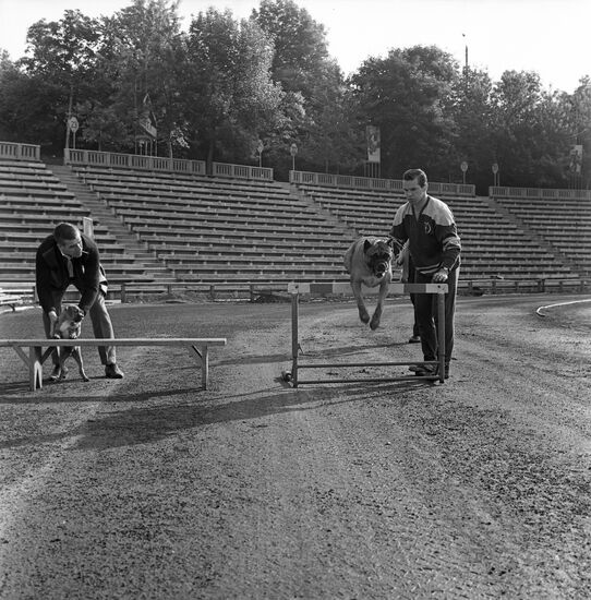 Тренер хоккейной команды "Динамо" (Киев) Дмитрий Богинов