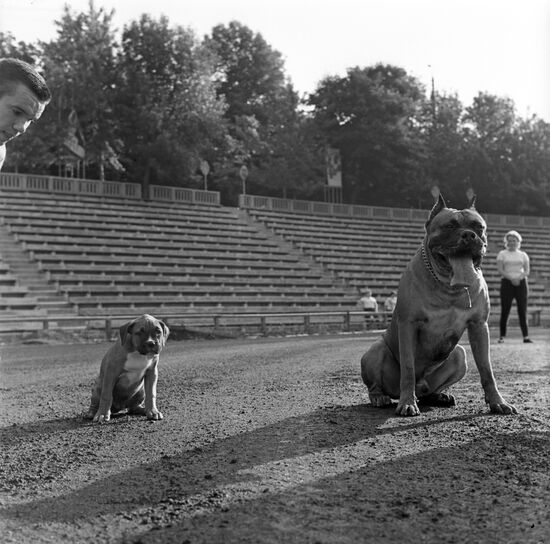 Тренер хоккейной команды "Динамо" (Киев) Дмитрий Богинов