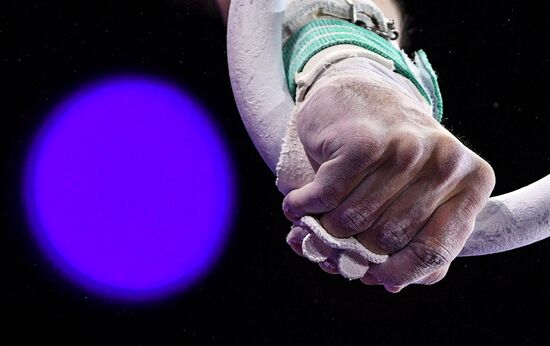 Спортивная гимнастика. Чемпионат мира. Отдельные снаряды. Первый день