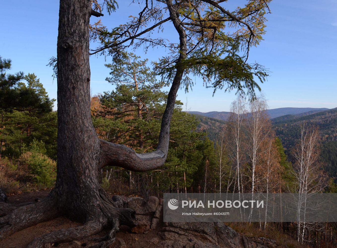 Природный заповедник "Столбы"