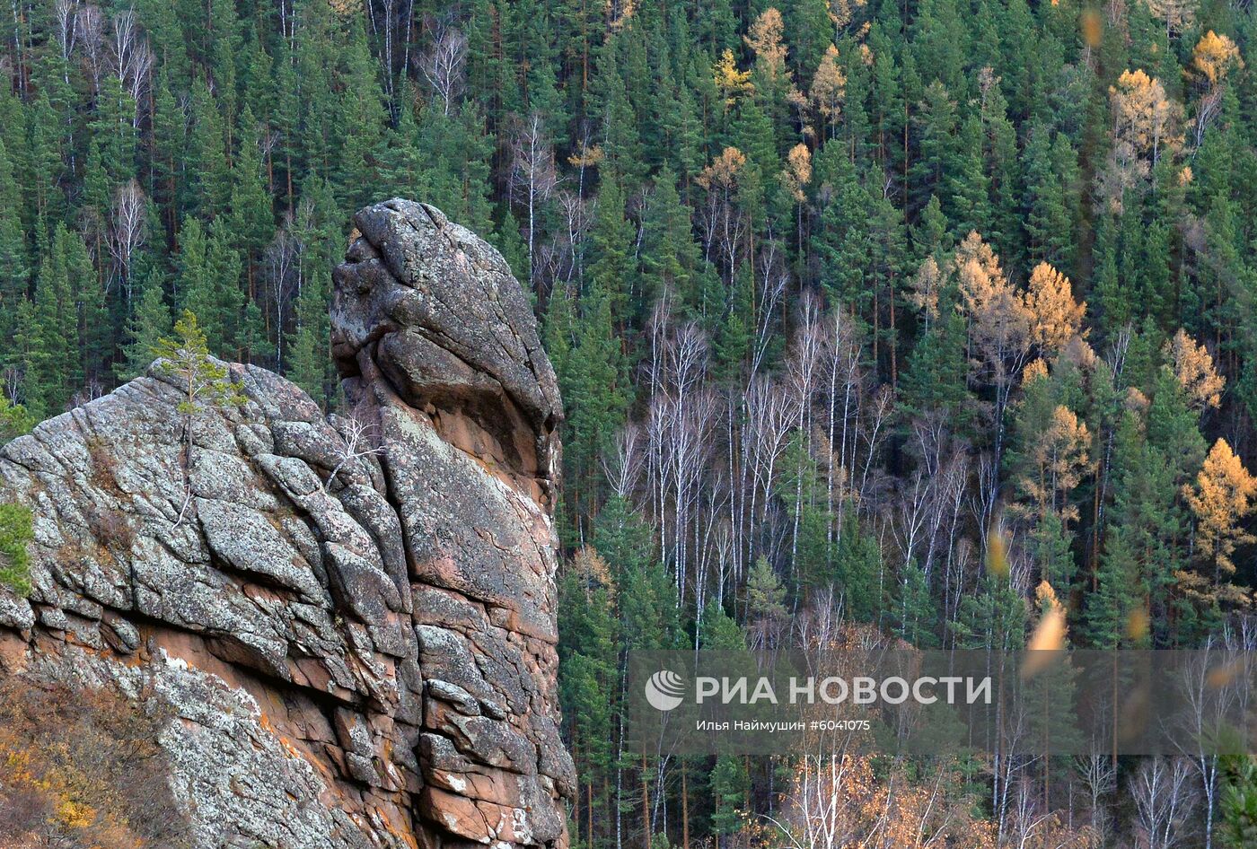 Природный заповедник "Столбы"