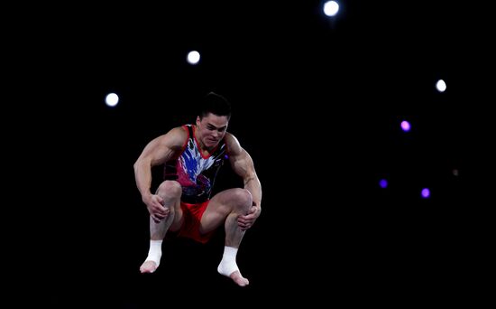 Спортивная гимнастика. Чемпионат мира. Отдельные снаряды. Второй день