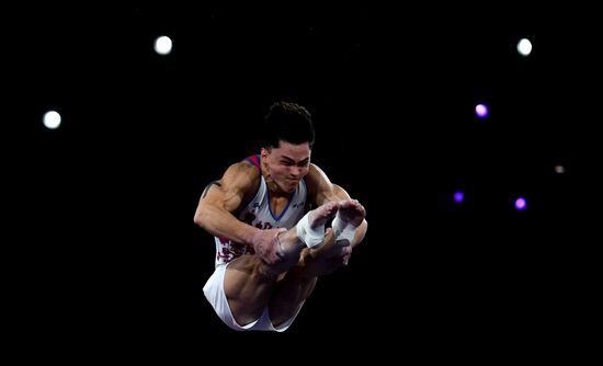 Спортивная гимнастика. Чемпионат мира. Отдельные снаряды. Второй день