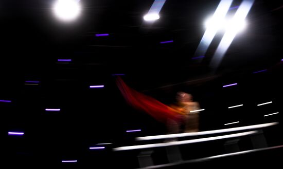 Спортивная гимнастика. Чемпионат мира. Отдельные снаряды. Второй день