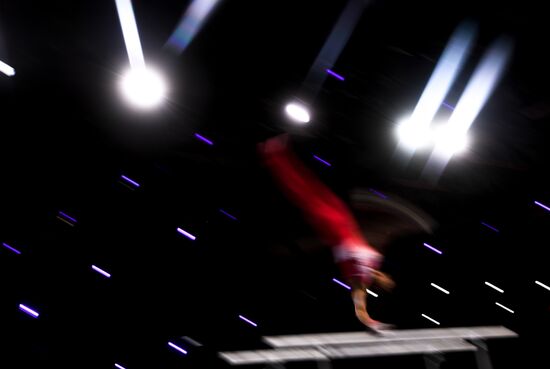 Спортивная гимнастика. Чемпионат мира. Отдельные снаряды. Второй день