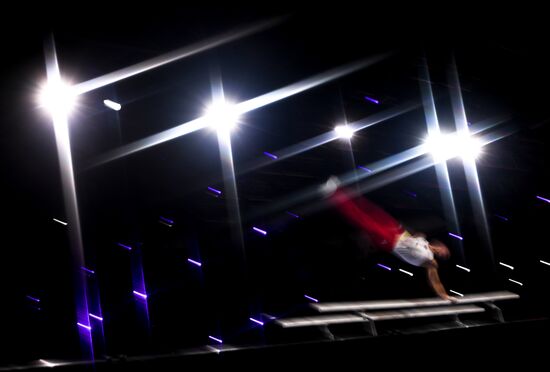 Спортивная гимнастика. Чемпионат мира. Отдельные снаряды. Второй день