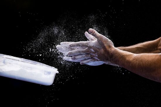 Спортивная гимнастика. Чемпионат мира. Отдельные снаряды. Второй день