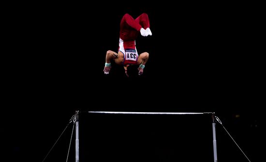 Спортивная гимнастика. Чемпионат мира. Отдельные снаряды. Второй день