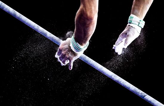 Спортивная гимнастика. Чемпионат мира. Отдельные снаряды. Второй день