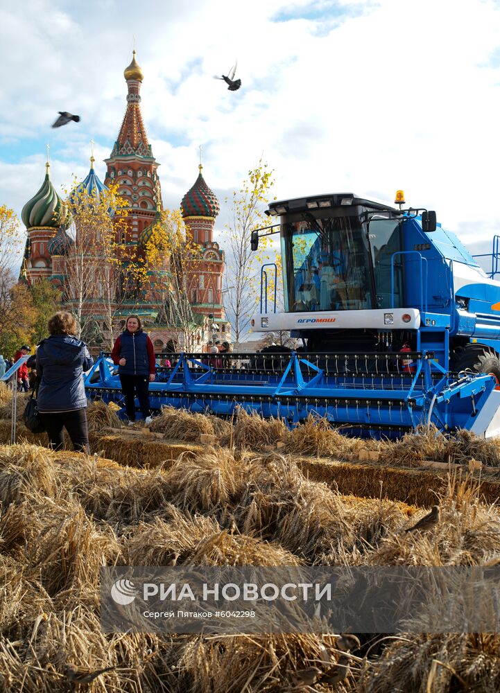 Закрытие фестиваля "Золотая осень"