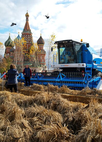 Закрытие фестиваля "Золотая осень"