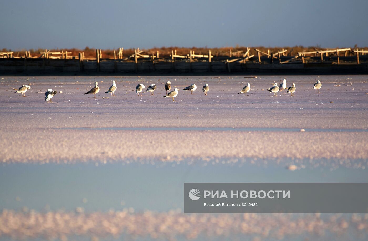 Добыча соли в Крыму