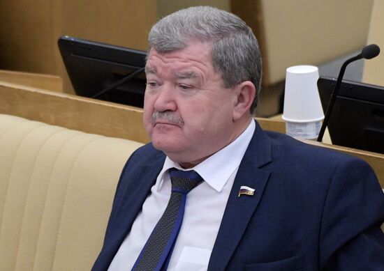 Пленарное заседание Госдумы РФ