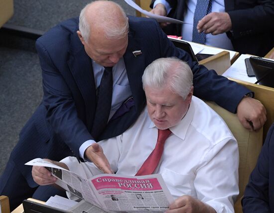 Пленарное заседание Госдумы РФ