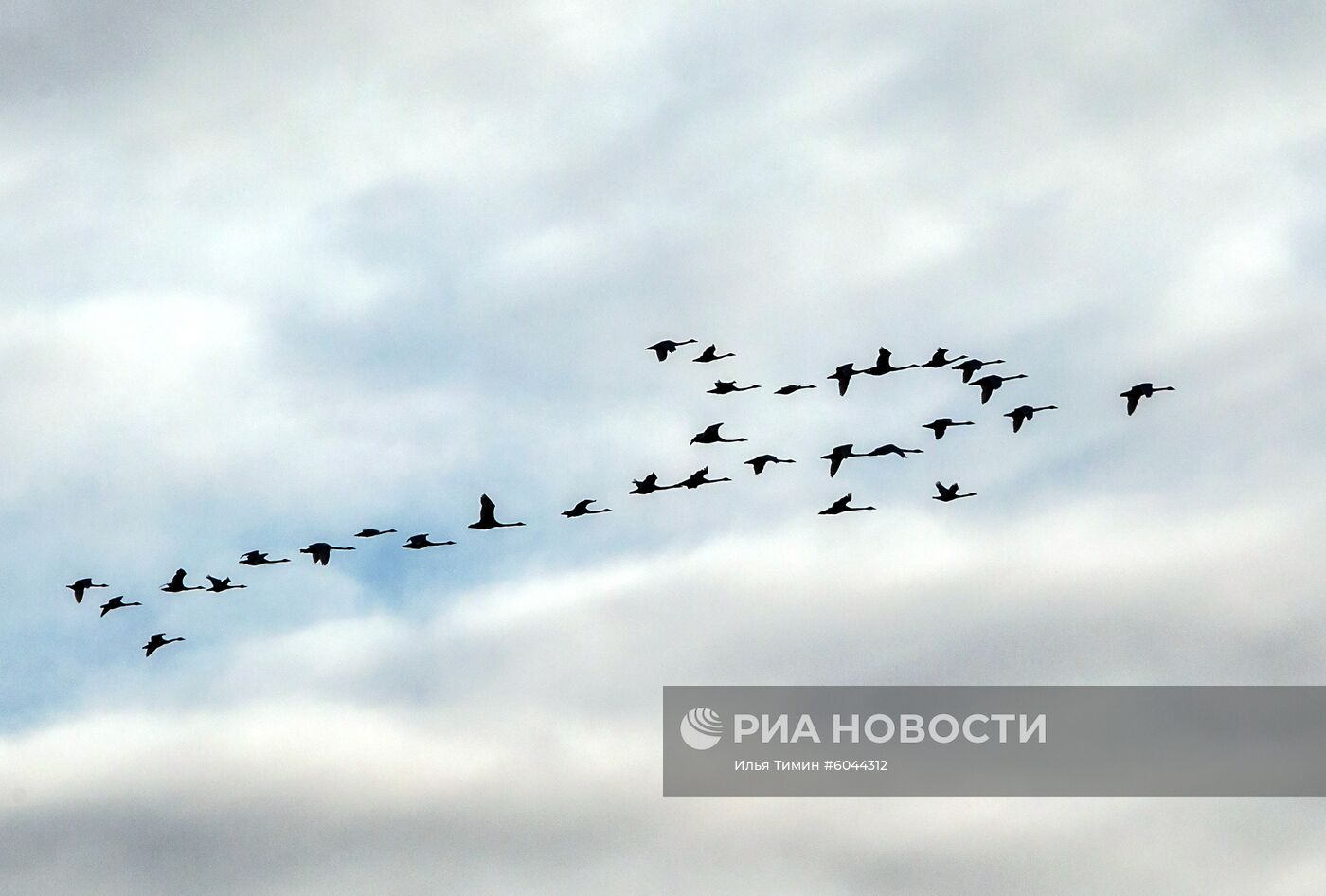 Осень в Заонежье