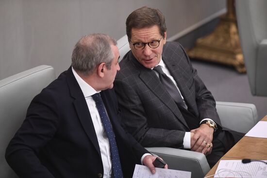 Пленарное заседание Госдумы РФ 