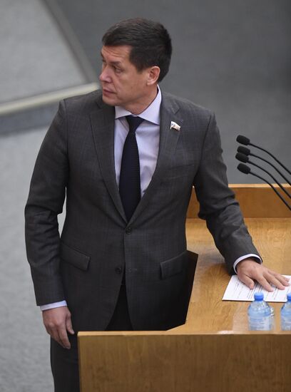 Пленарное заседание Госдумы РФ 