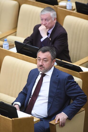 Пленарное заседание Госдумы РФ 