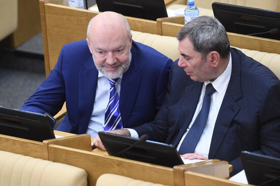 Пленарное заседание Госдумы РФ 