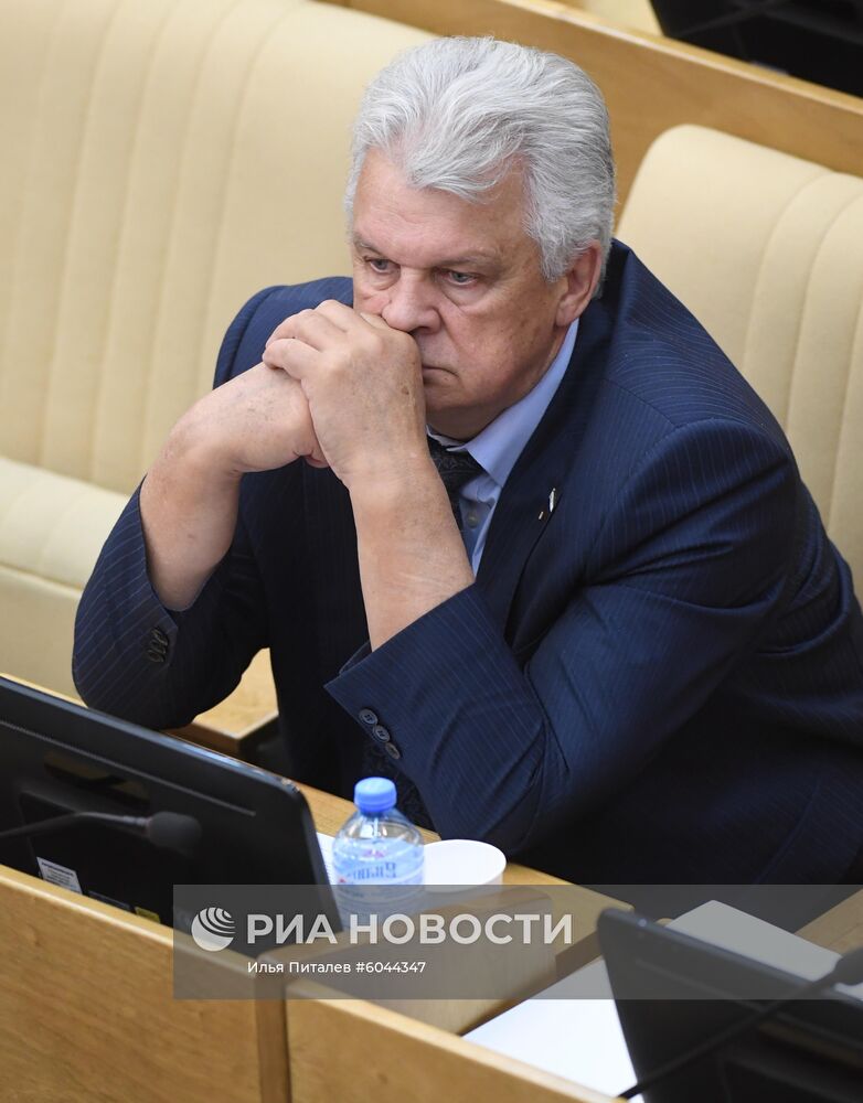 Пленарное заседание Госдумы РФ 