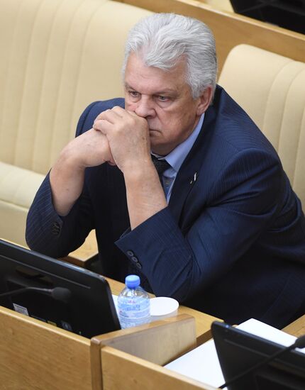 Пленарное заседание Госдумы РФ 