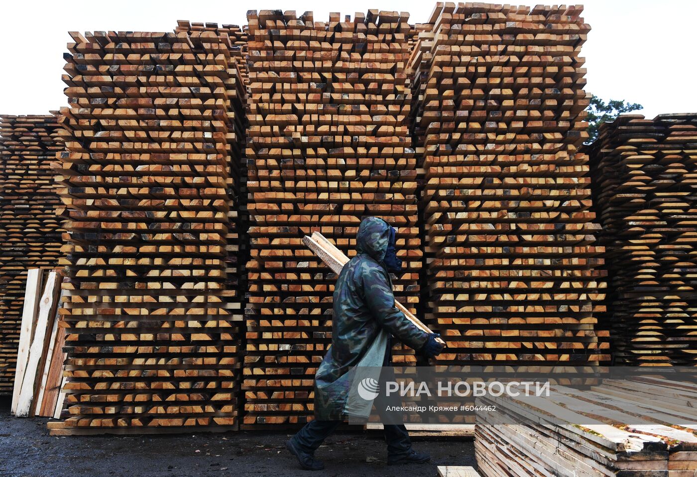 Лесозаготовительные работы в Новосибирской области