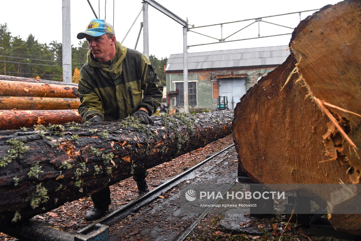 Лесозаготовительные работы в Новосибирской области